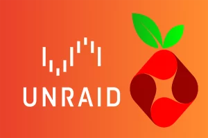 Create Local Domain Names With UNRAID and Pi-hole